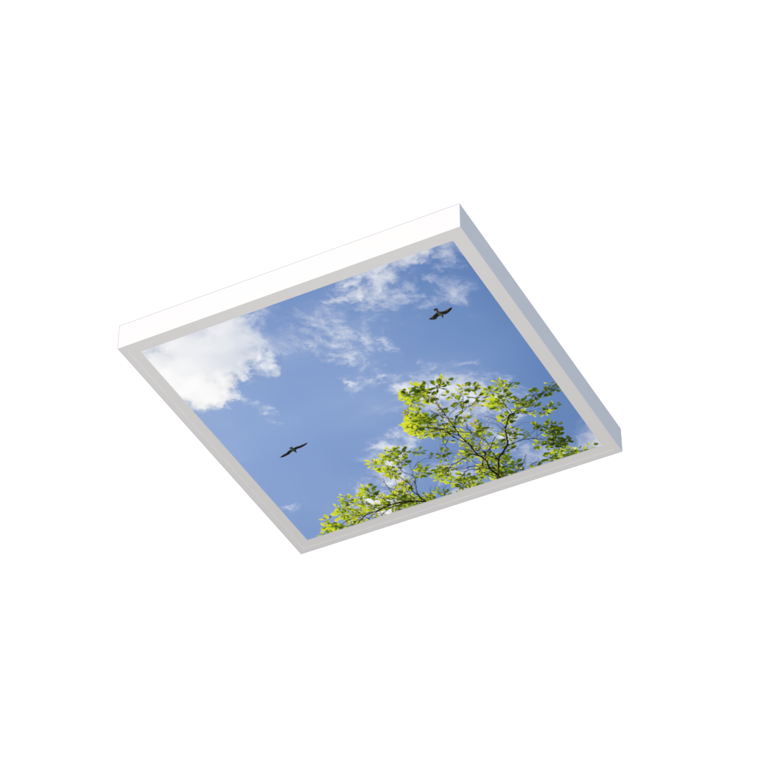 LED Deckenmotiv 62x62cm mit Aufbaurahmen