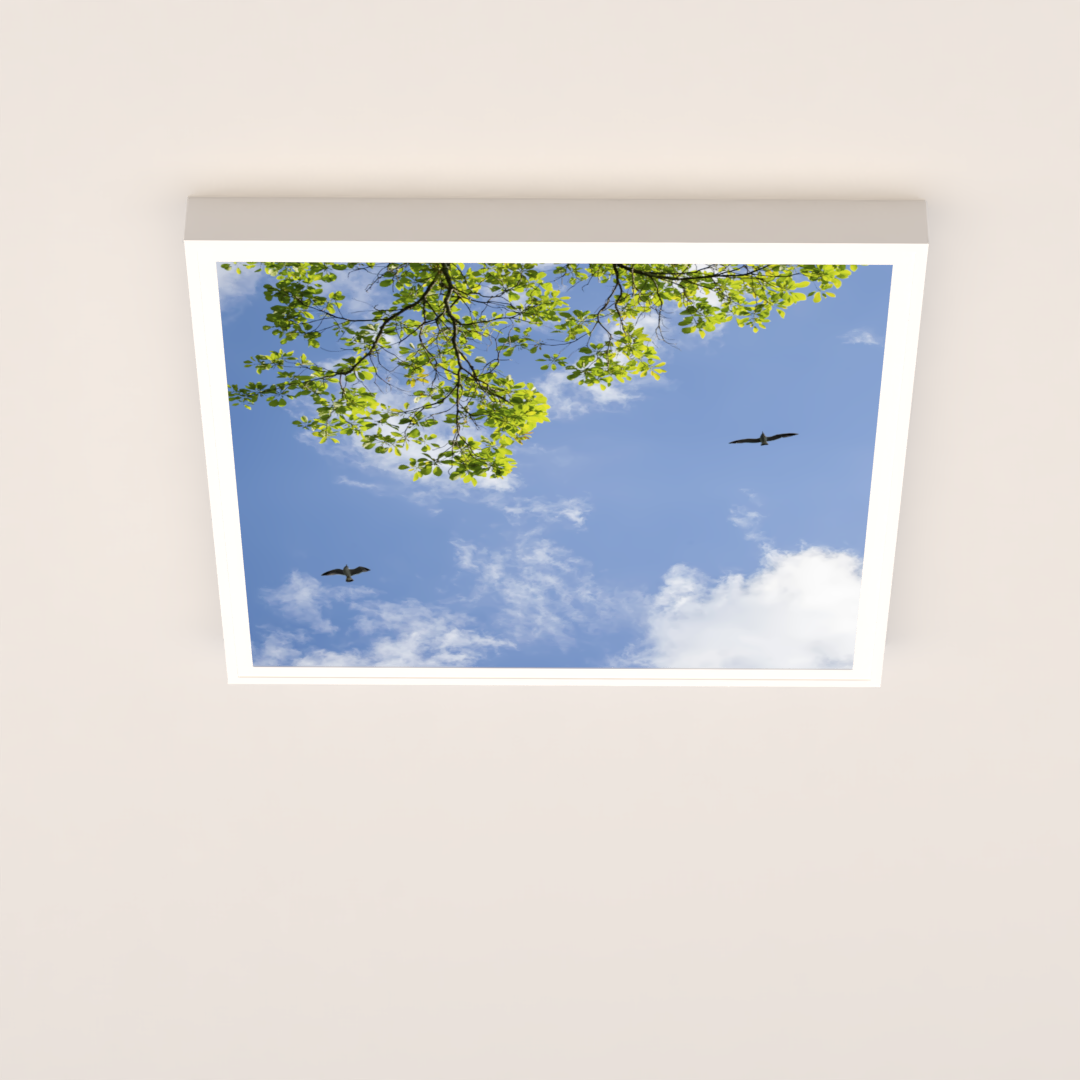 LED Deckenmotiv 62x62cm mit Aufbaurahmen