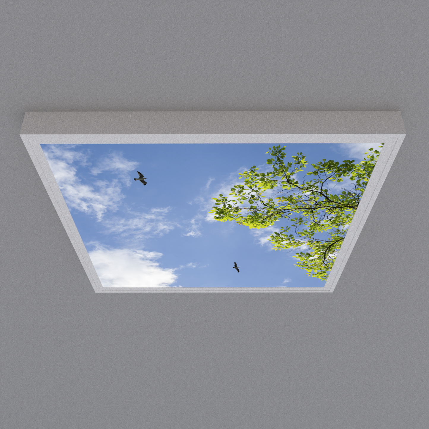 LED Deckenmotiv 62x62cm mit Aufbaurahmen