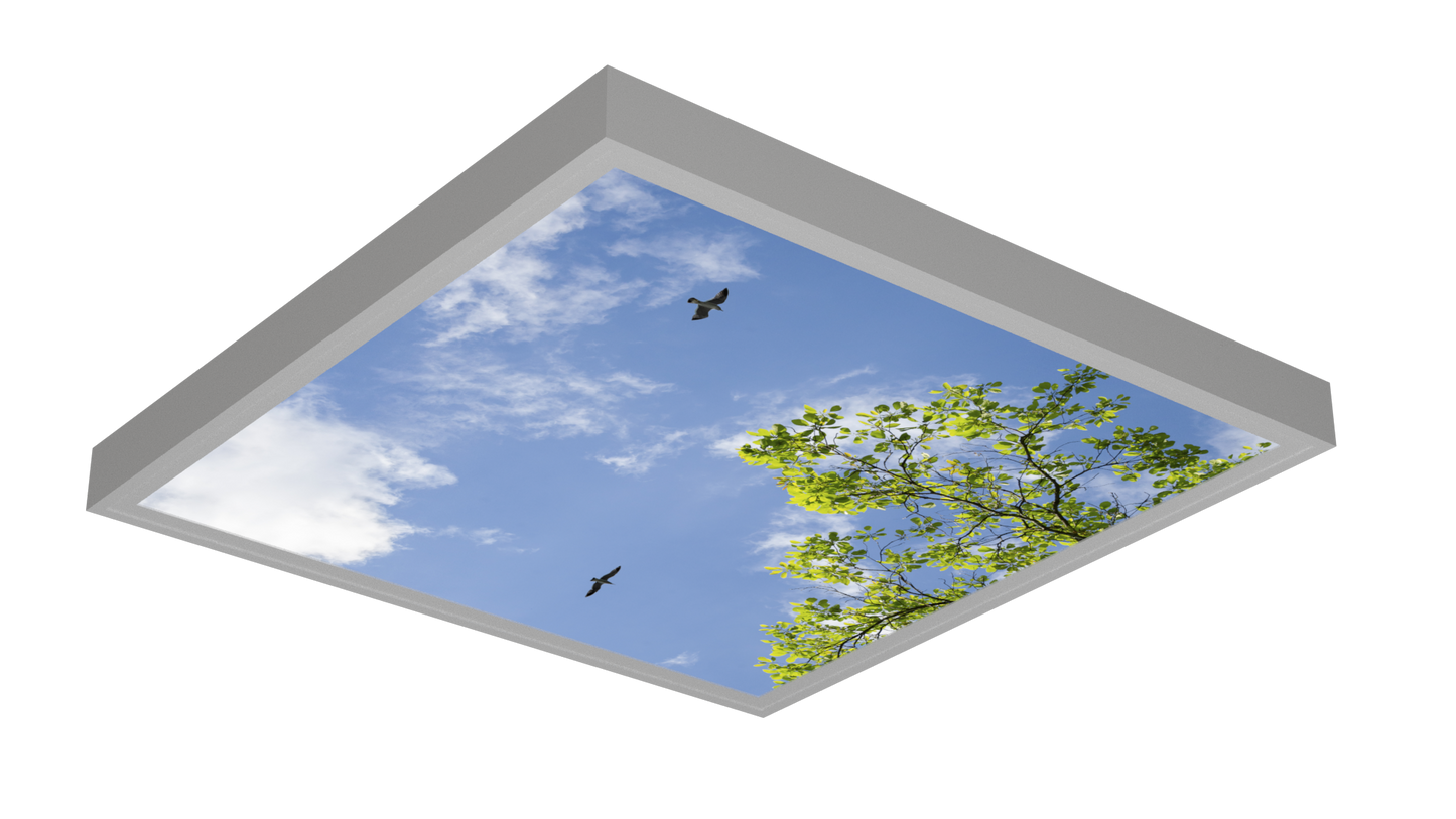 LED Deckenmotiv 62x62cm mit Aufbaurahmen