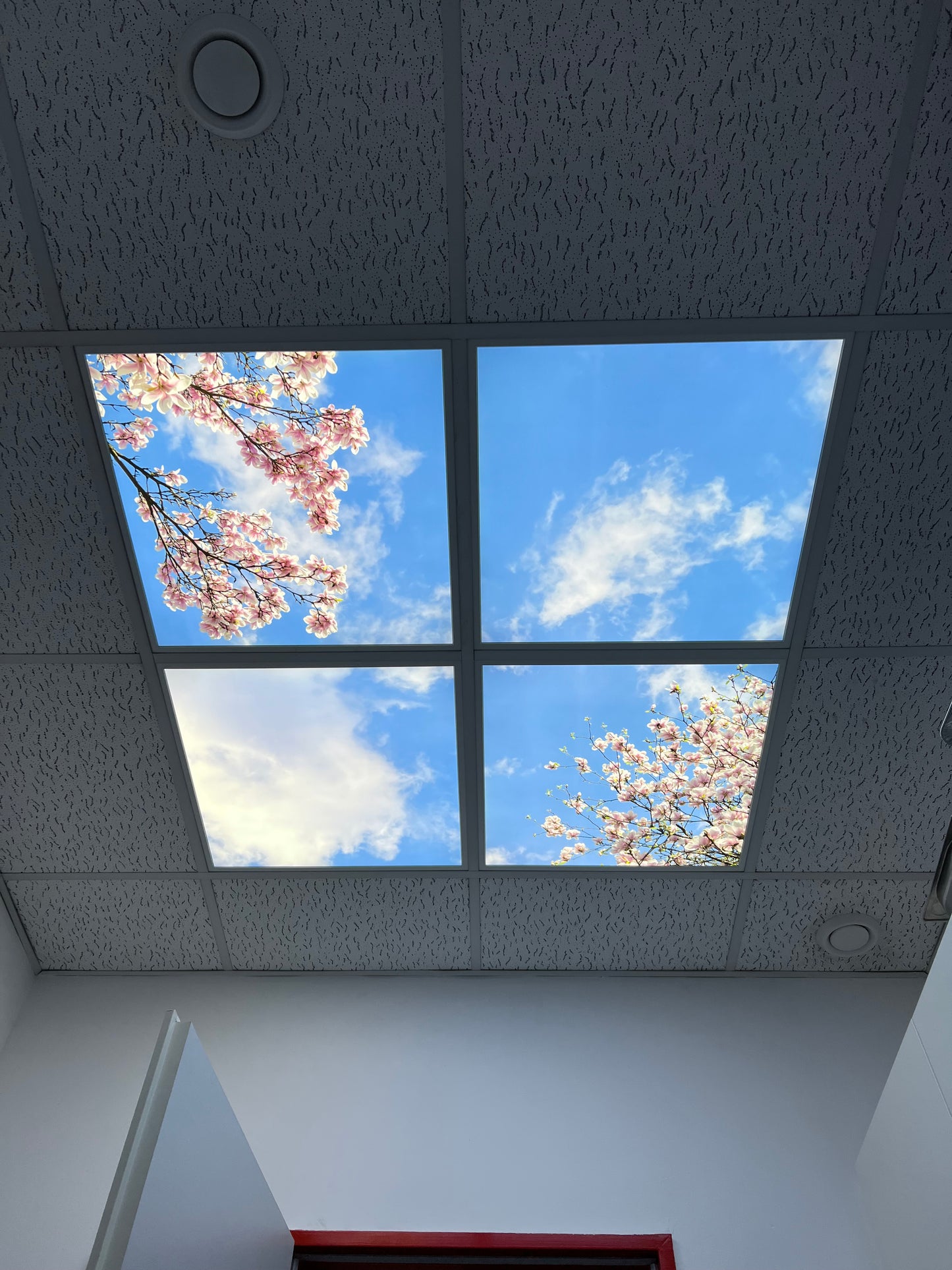 LED Deckenbilder Himmel