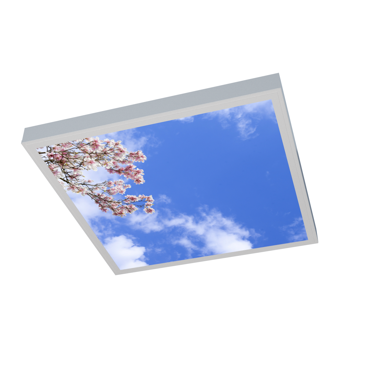LED Deckenmotiv 62x62cm mit Aufbaurahmen