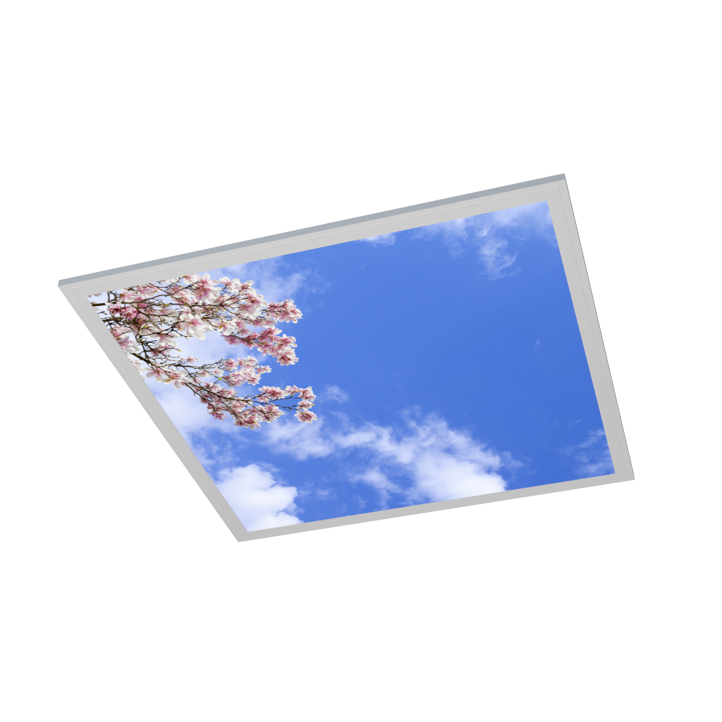 LED Panel 62x62cm mit Motiv Einlegeleuchte