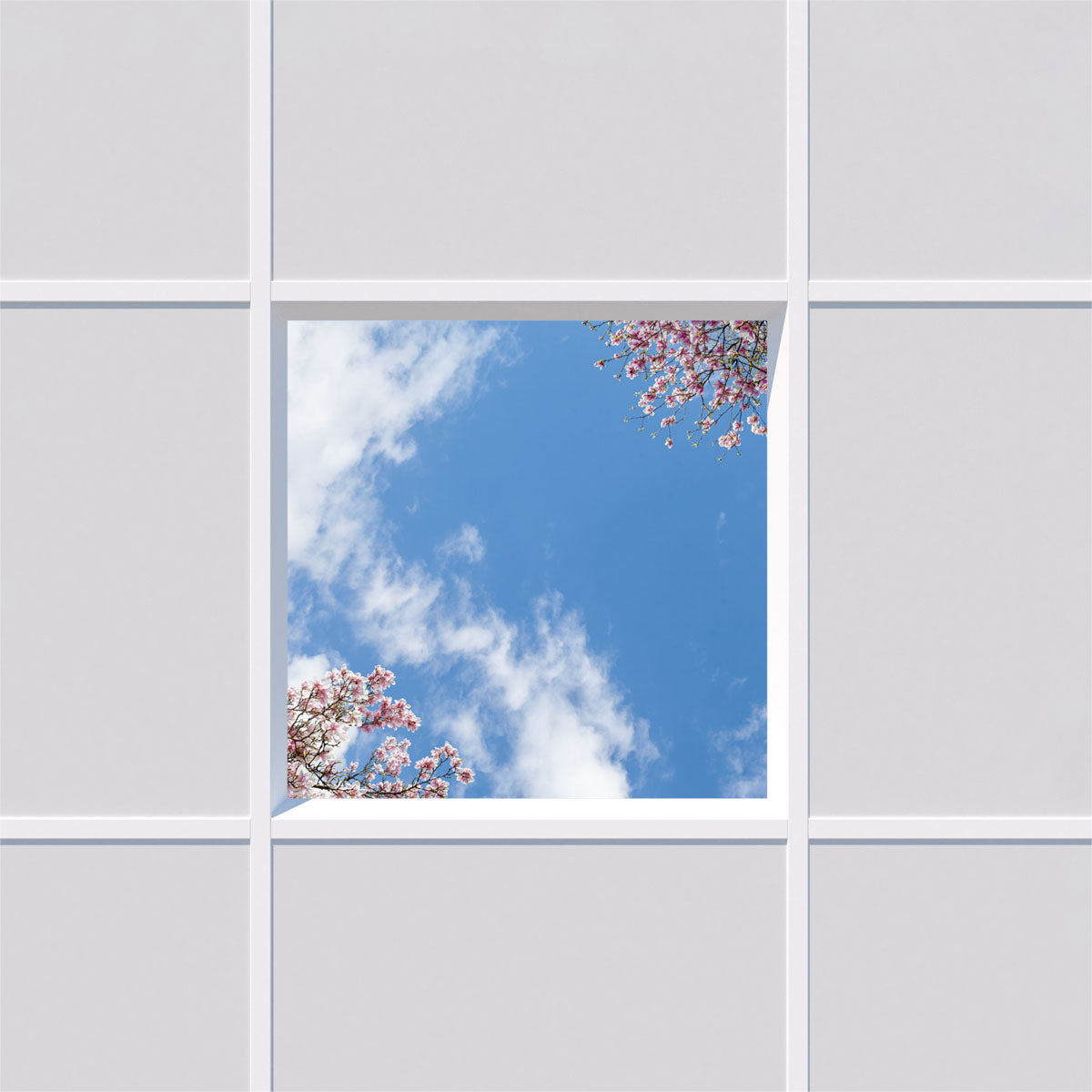 Deckenmotiv 007 Himmel & Bäume