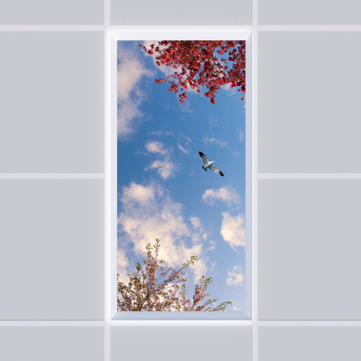 Deckenmotiv 001 Himmel