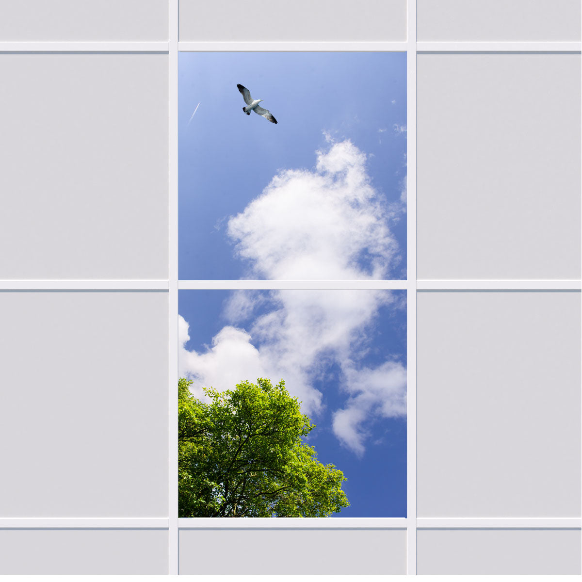 Deckenmotiv 004 Himmel Baum & Vogel