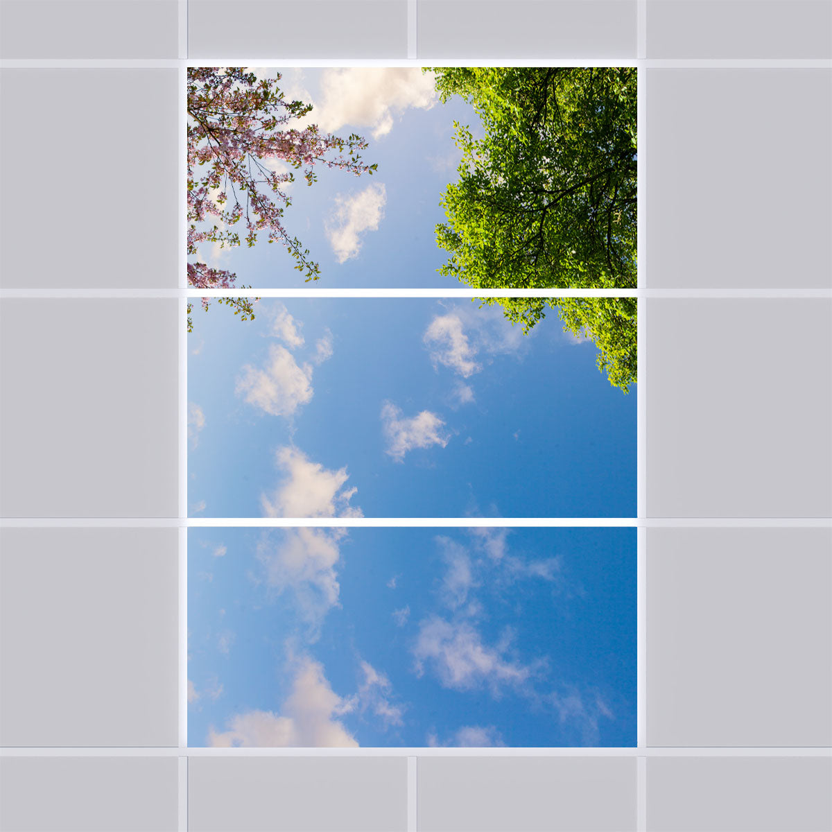 Deckenmotiv 009 Himmel & Bäume