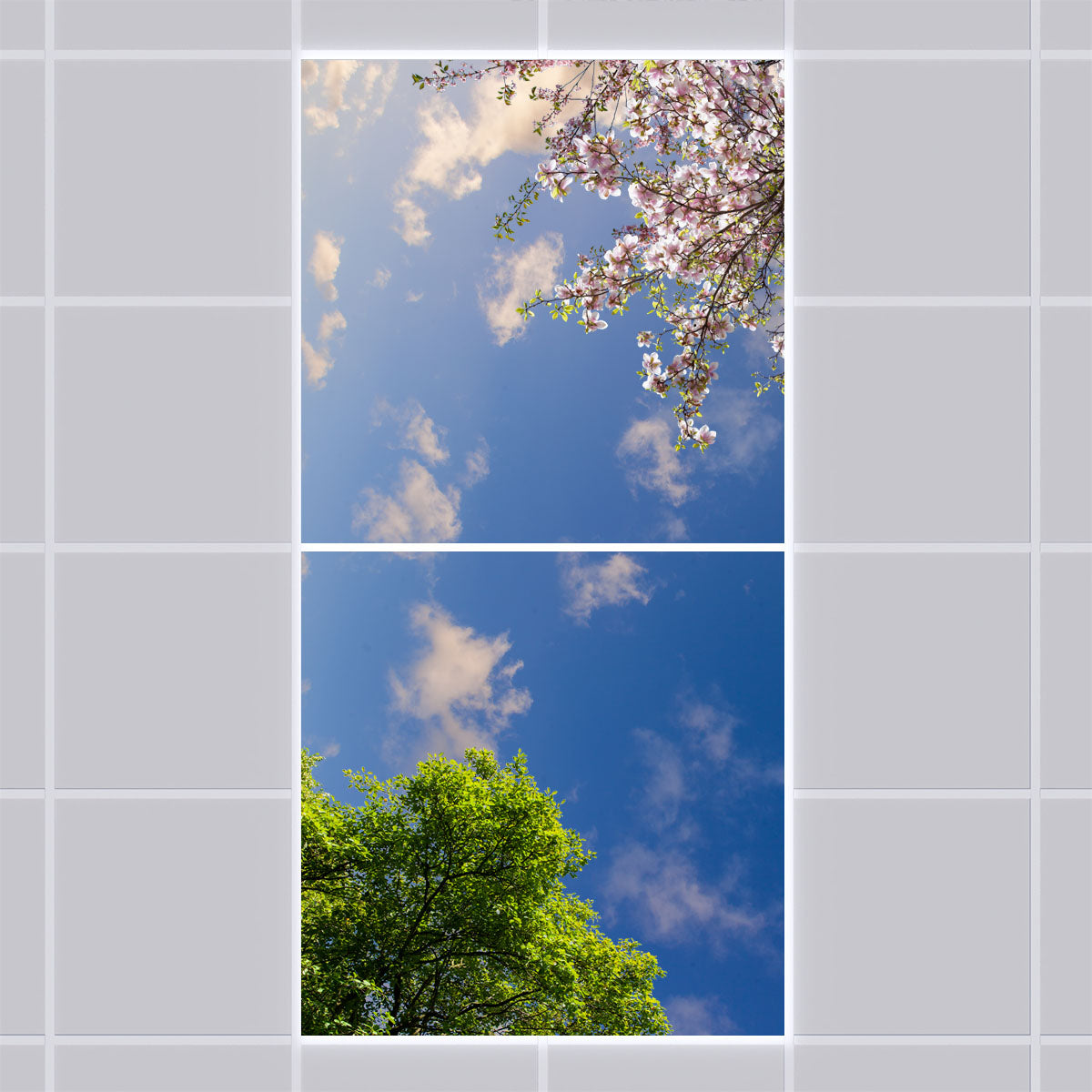 Deckenmotiv 009 Himmel & Bäume