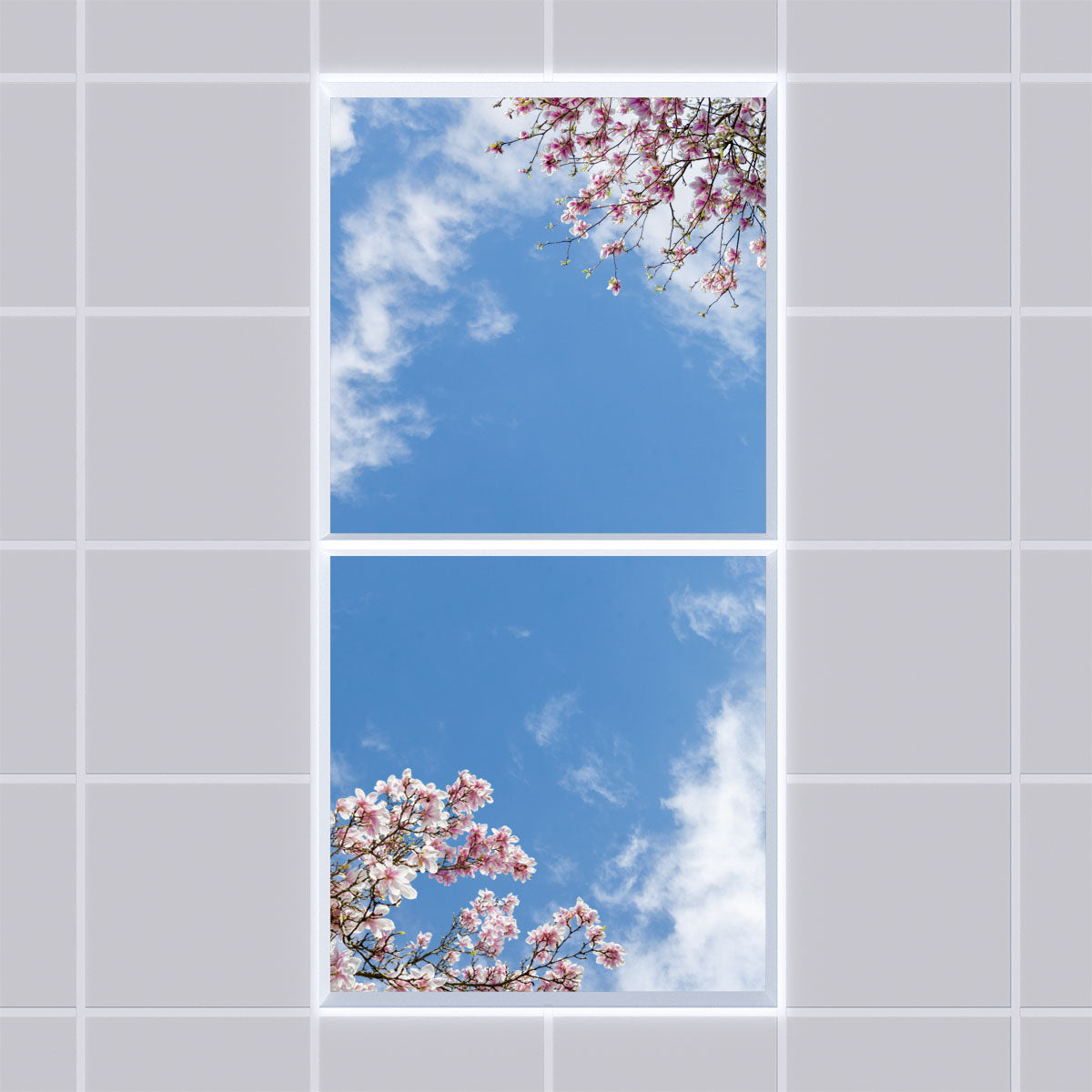 Deckenmotiv 007 Himmel & Bäume