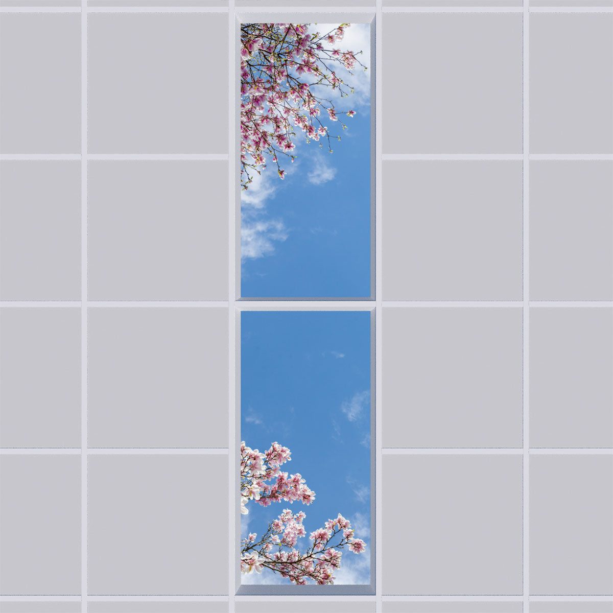 Deckenmotiv 007 Himmel & Bäume
