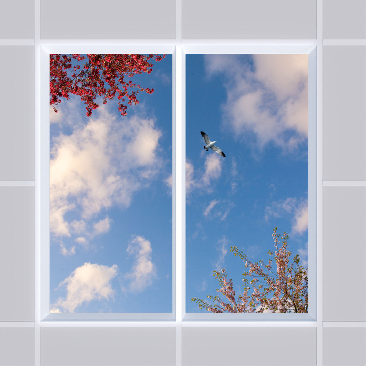 Deckenmotiv 001 Himmel
