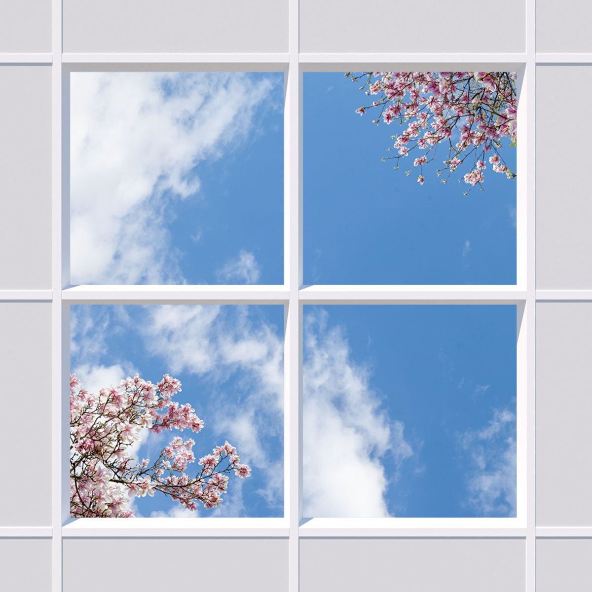Deckenmotiv 007 Himmel & Bäume