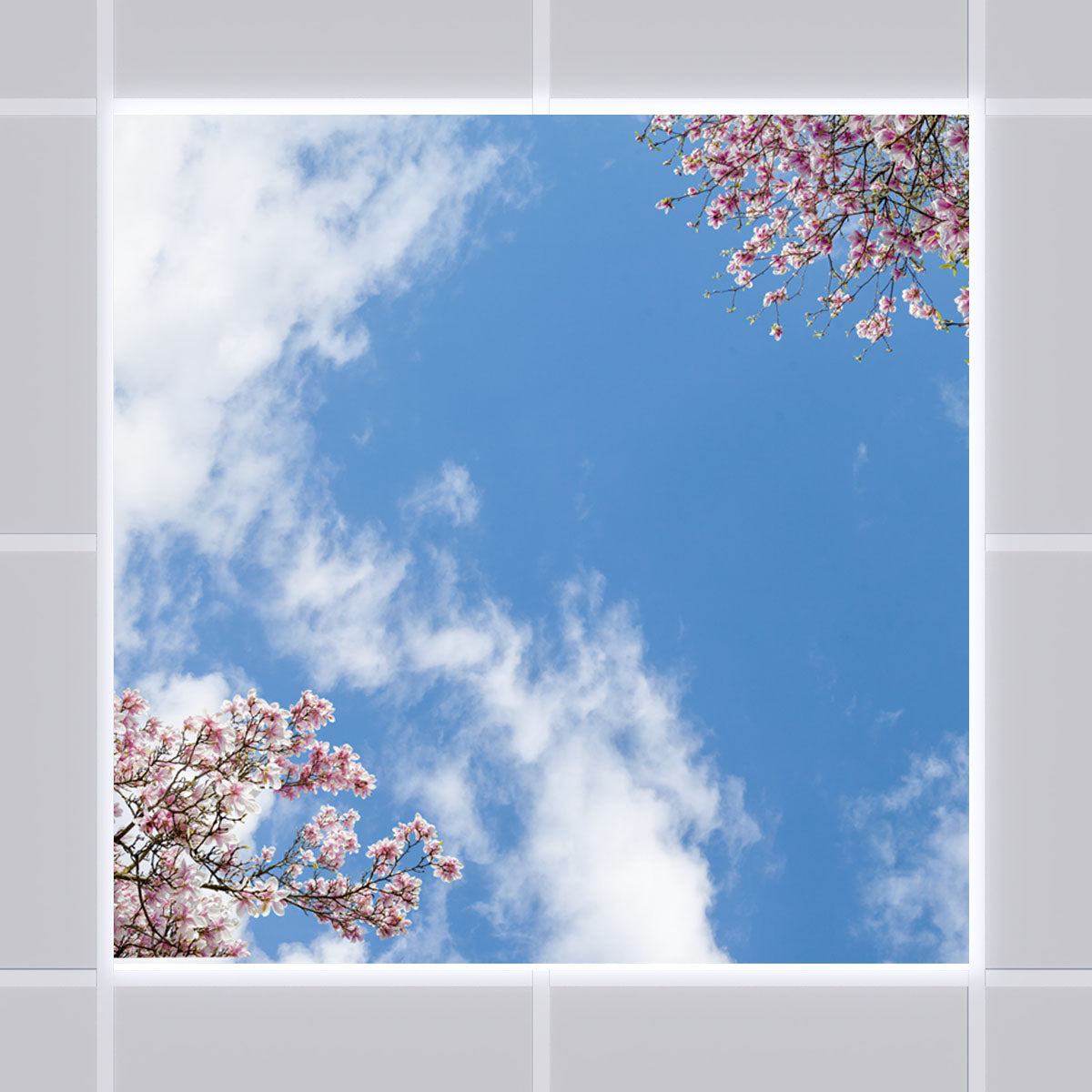 Deckenmotiv 007 Himmel & Bäume