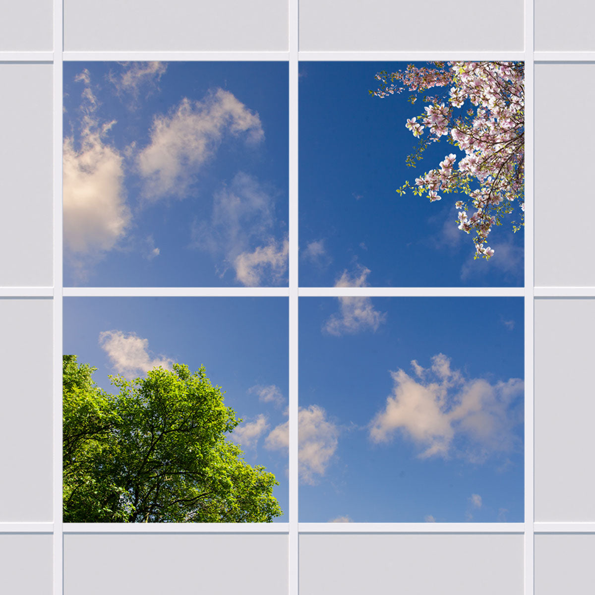Deckenmotiv 009 Himmel & Bäume