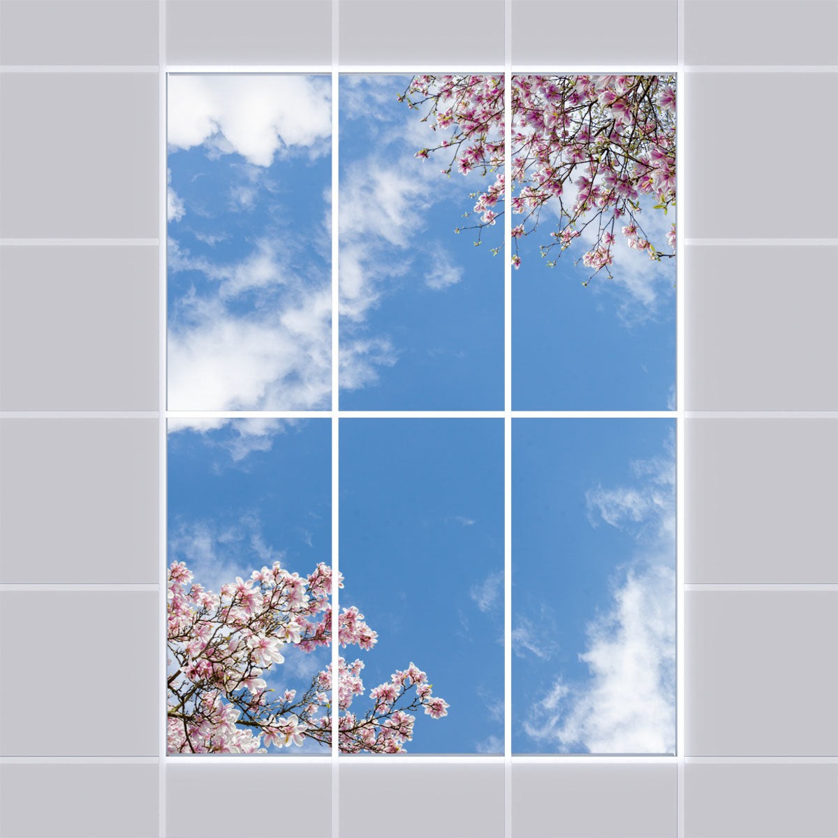 Deckenmotiv 007 Himmel & Bäume