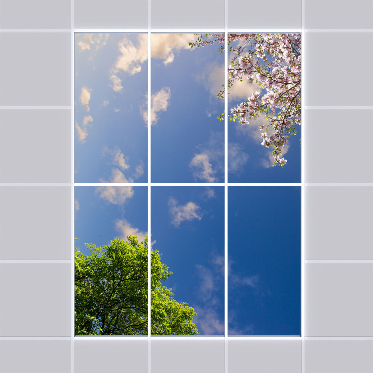 Deckenmotiv 009 Himmel & Bäume