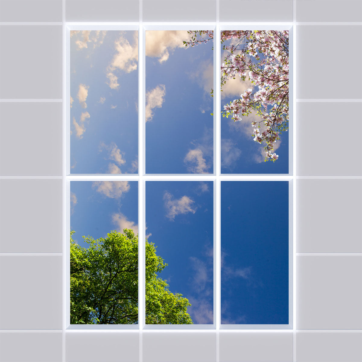 Deckenmotiv 009 Himmel & Bäume