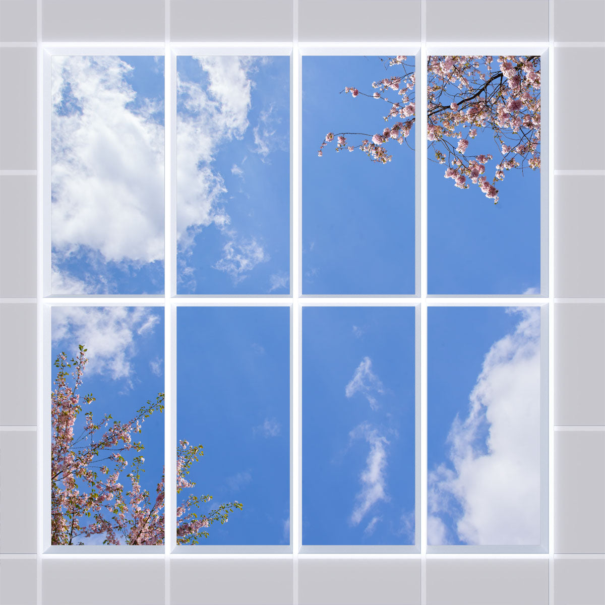 Deckenmotiv 006 Himmel & Bäume