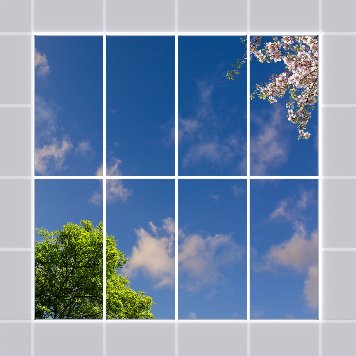 Deckenmotiv 009 Himmel & Bäume