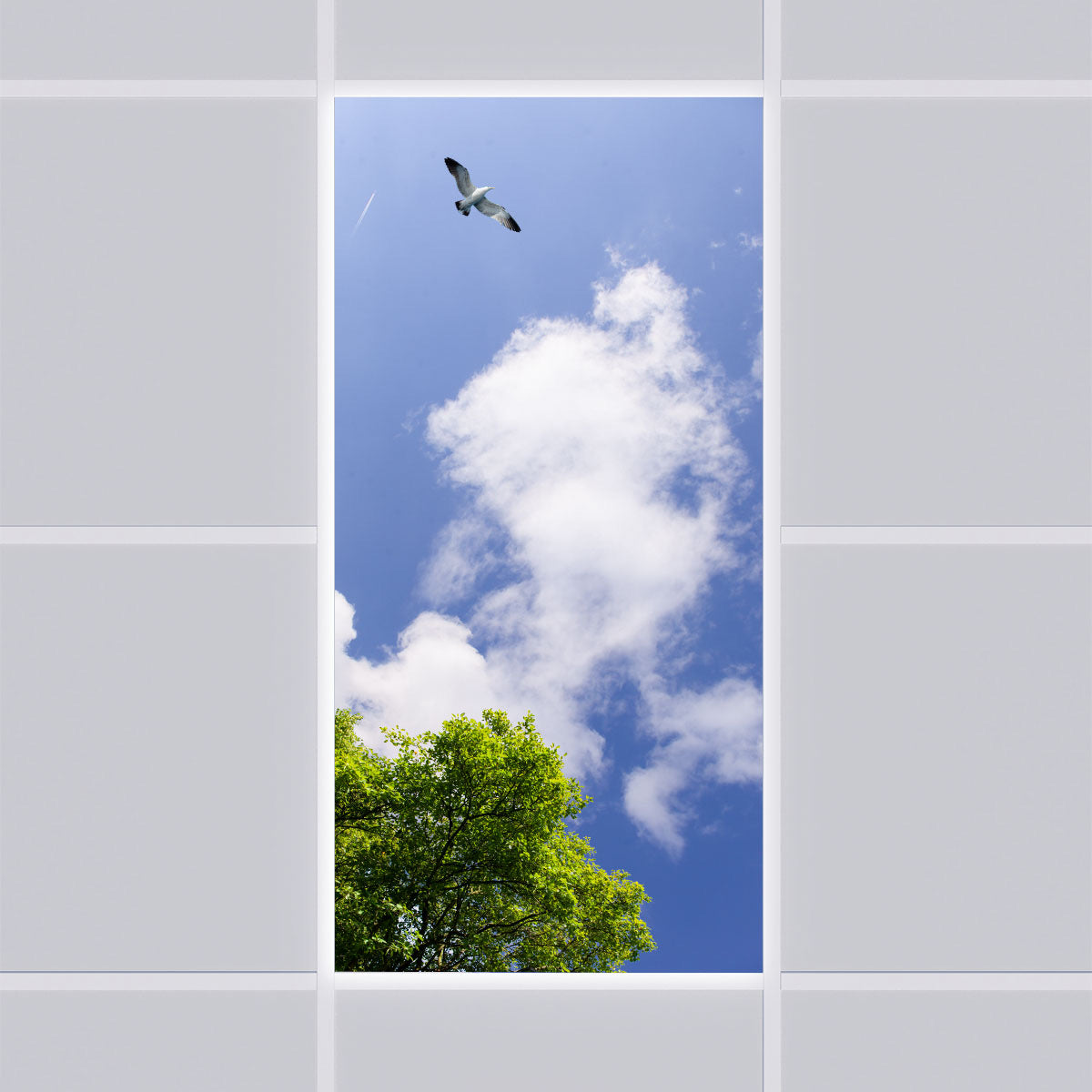 LED Panel 60x120cm mit Motiv Einlegeleuchte
