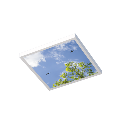 LED Deckenmotiv 62x62cm mit Aufbaurahmen