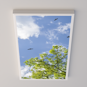 LED Deckenmotiv 60x120cm mit Aufbaurahmen