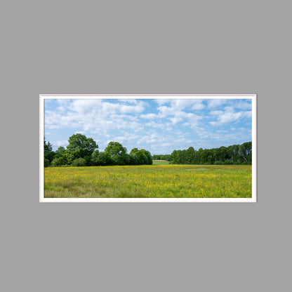 LED-Wandbild 60x120 cm quer – Felder & Wiesen