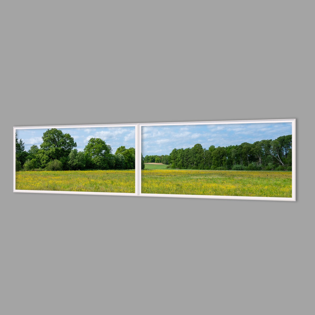 LED-Wandbild Zweiteiler quer 240x60 cm – Felder & Wiesen