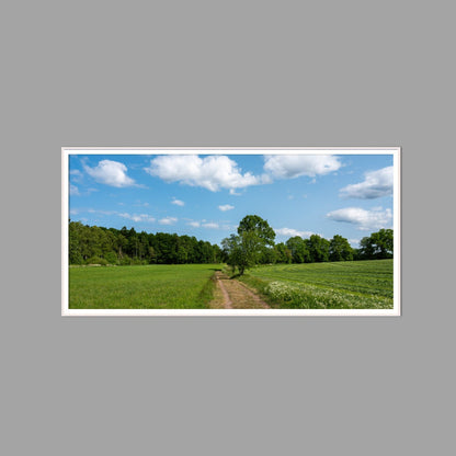 LED-Wandbild 60x120 cm quer – Felder & Wiesen