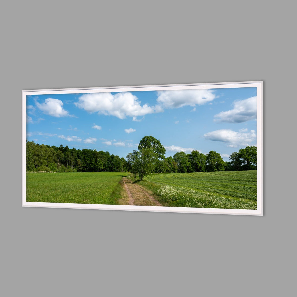 LED-Wandbild 60x120 cm quer – Felder & Wiesen