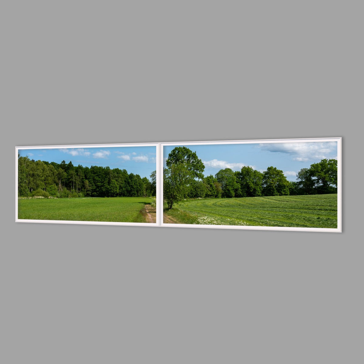 LED-Wandbild Zweiteiler quer 240x60 cm – Felder & Wiesen
