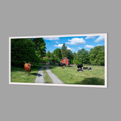 LED-Wandbild 60x120 cm quer – Felder & Wiesen