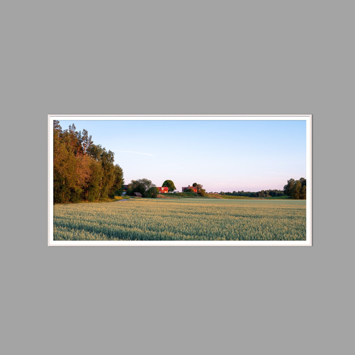 LED-Wandbild 60x120 cm quer – Felder & Wiesen