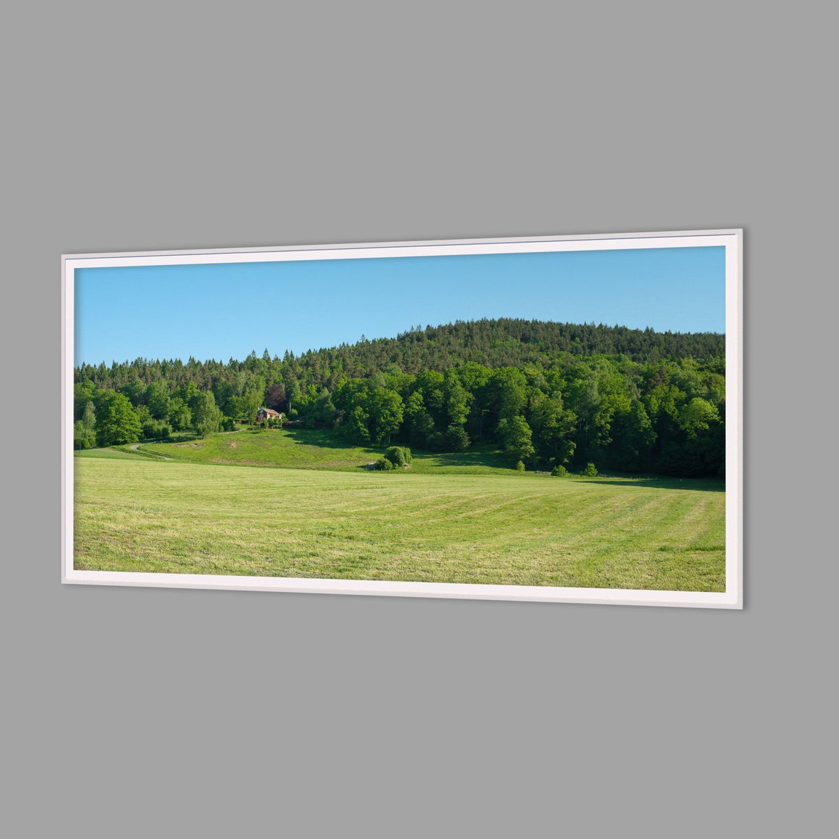 LED-Wandbild 60x120 cm quer – Felder & Wiesen