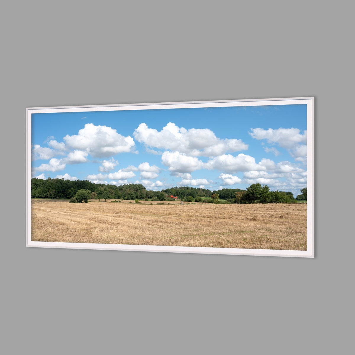 LED-Wandbild 60x120 cm quer – Felder & Wiesen