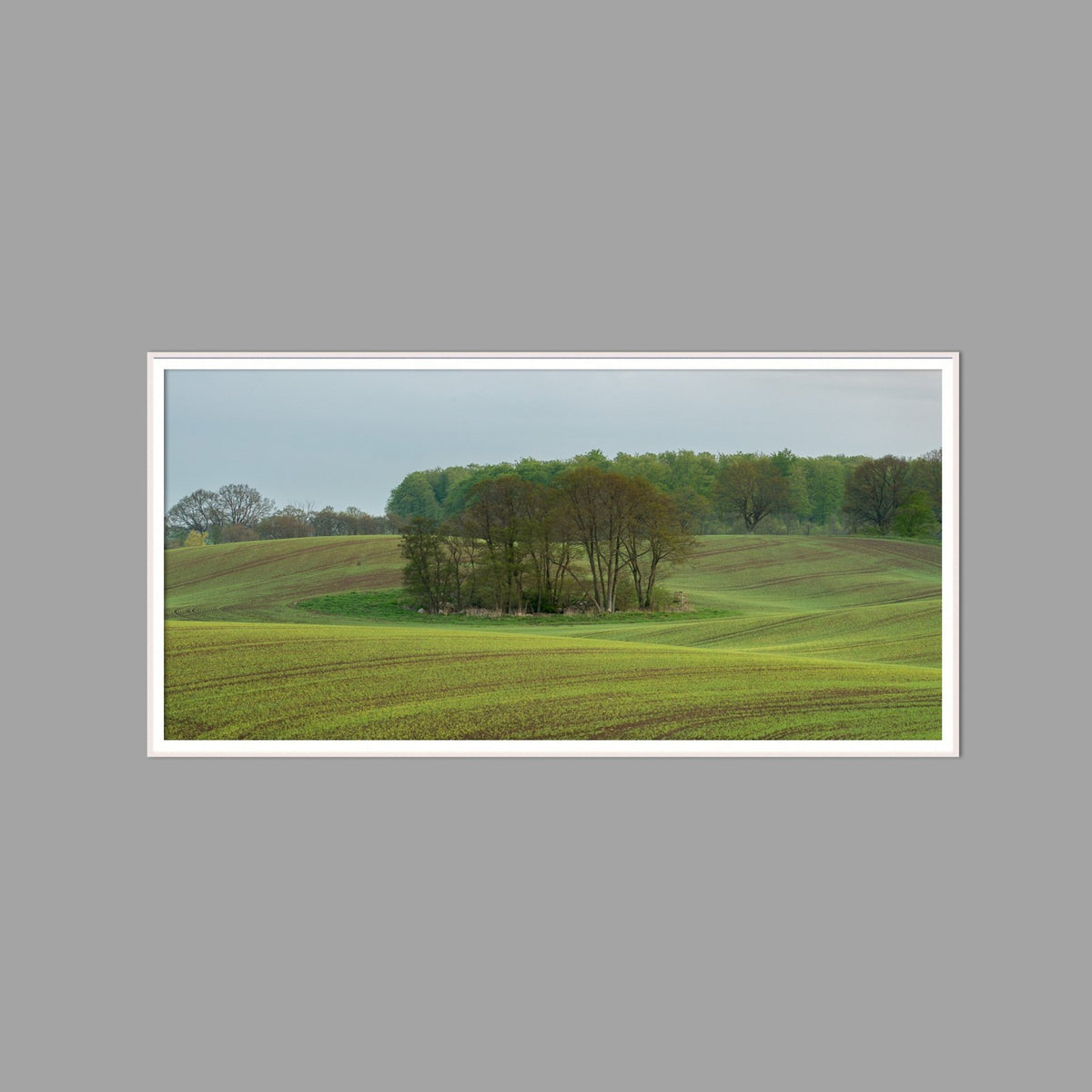 LED-Wandbild 60x120 cm quer – Felder & Wiesen