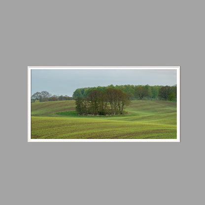 LED-Wandbild 60x120 cm quer – Felder & Wiesen
