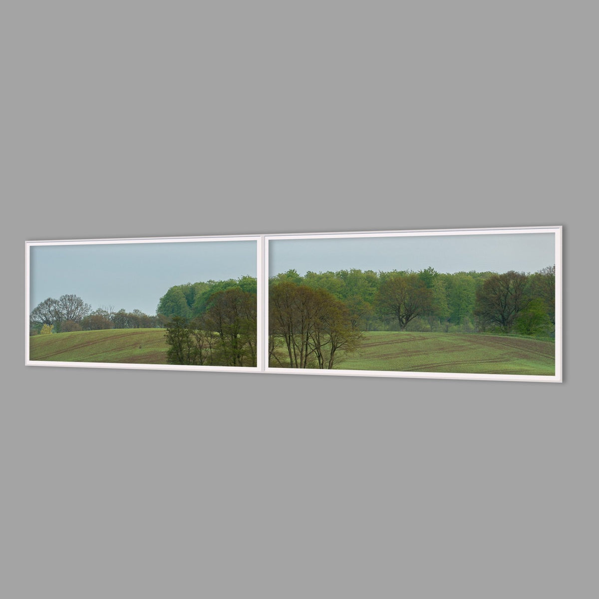 LED-Wandbild Zweiteiler quer 240x60 cm – Felder & Wiesen
