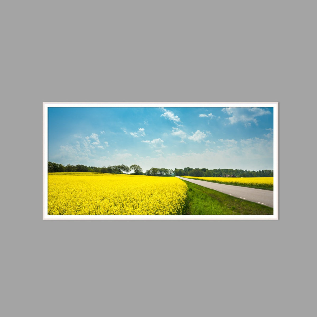 LED-Wandbild 60x120 cm quer – Felder & Wiesen