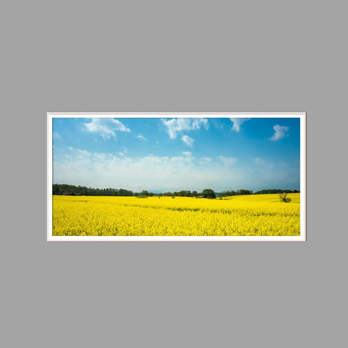 LED-Wandbild 60x120 cm quer – Felder & Wiesen