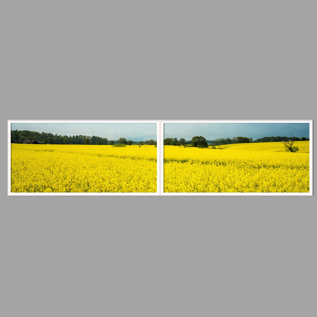 LED-Wandbild Zweiteiler quer 240x60 cm – Felder & Wiesen