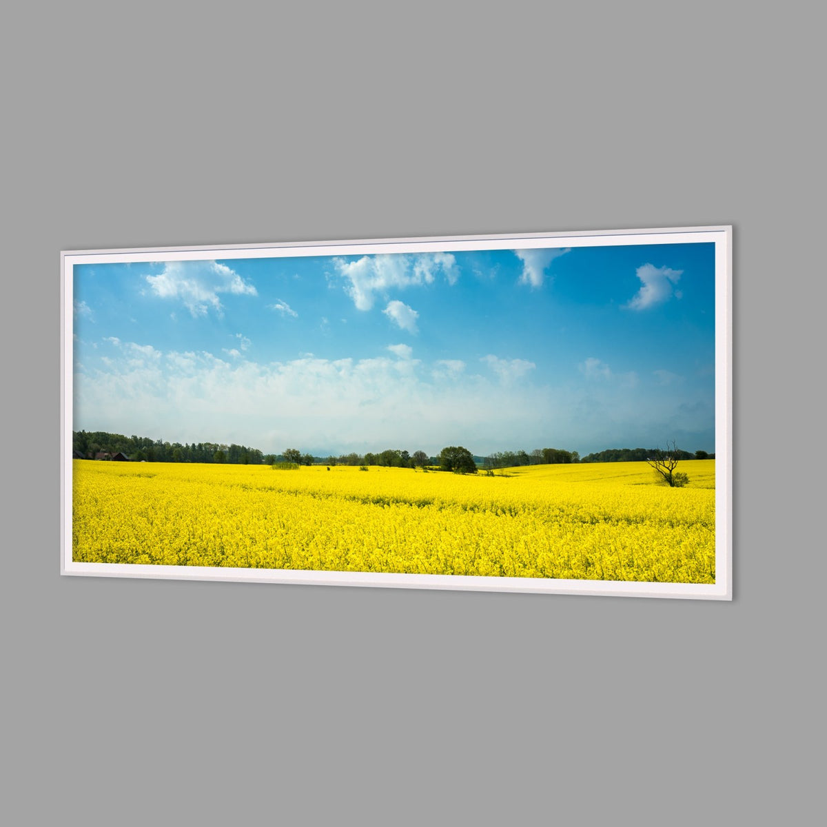 LED-Wandbild 60x120 cm quer – Felder & Wiesen