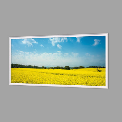 LED-Wandbild 60x120 cm quer – Felder & Wiesen