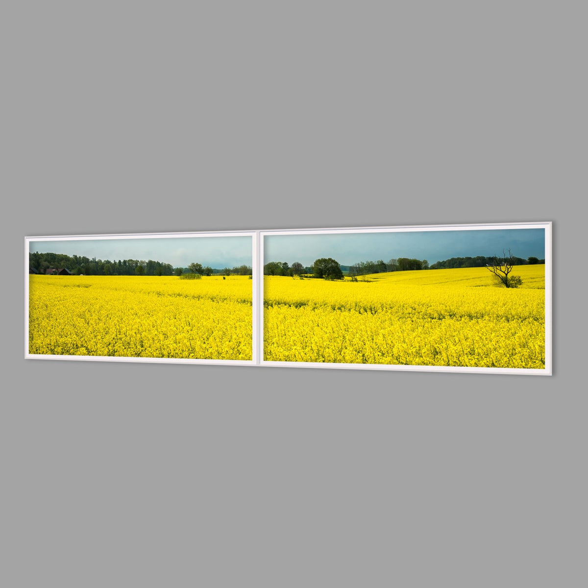 LED-Wandbild Zweiteiler quer 240x60 cm – Felder & Wiesen