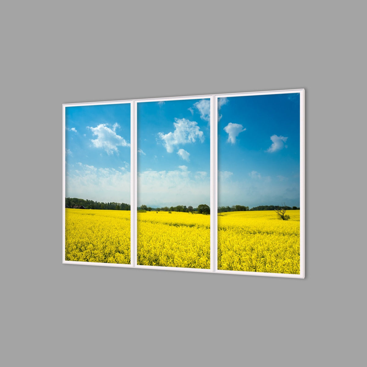 LED-Wandbild Dreiteiler hochkant 180x120 cm – Felder & Wiesen