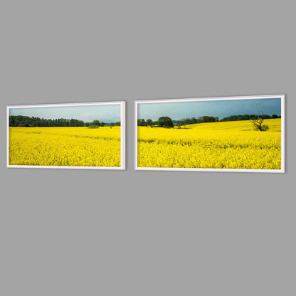 LED-Wandbild Zweiteiler quer mit Abstand – Felder & Wiesen
