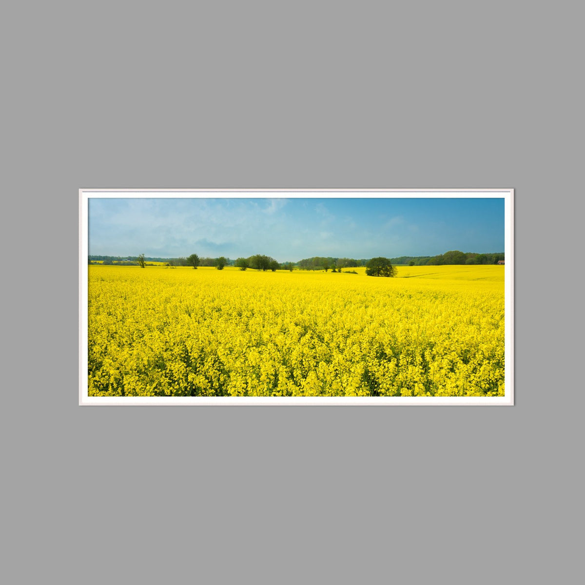 LED-Wandbild 60x120 cm quer – Felder & Wiesen