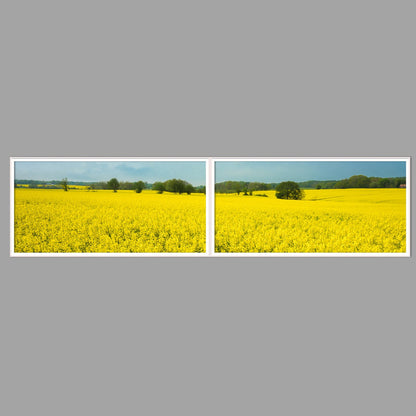 LED-Wandbild Zweiteiler quer 240x60 cm – Felder & Wiesen