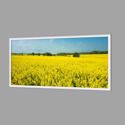 LED-Wandbild 60x120 cm quer – Felder & Wiesen