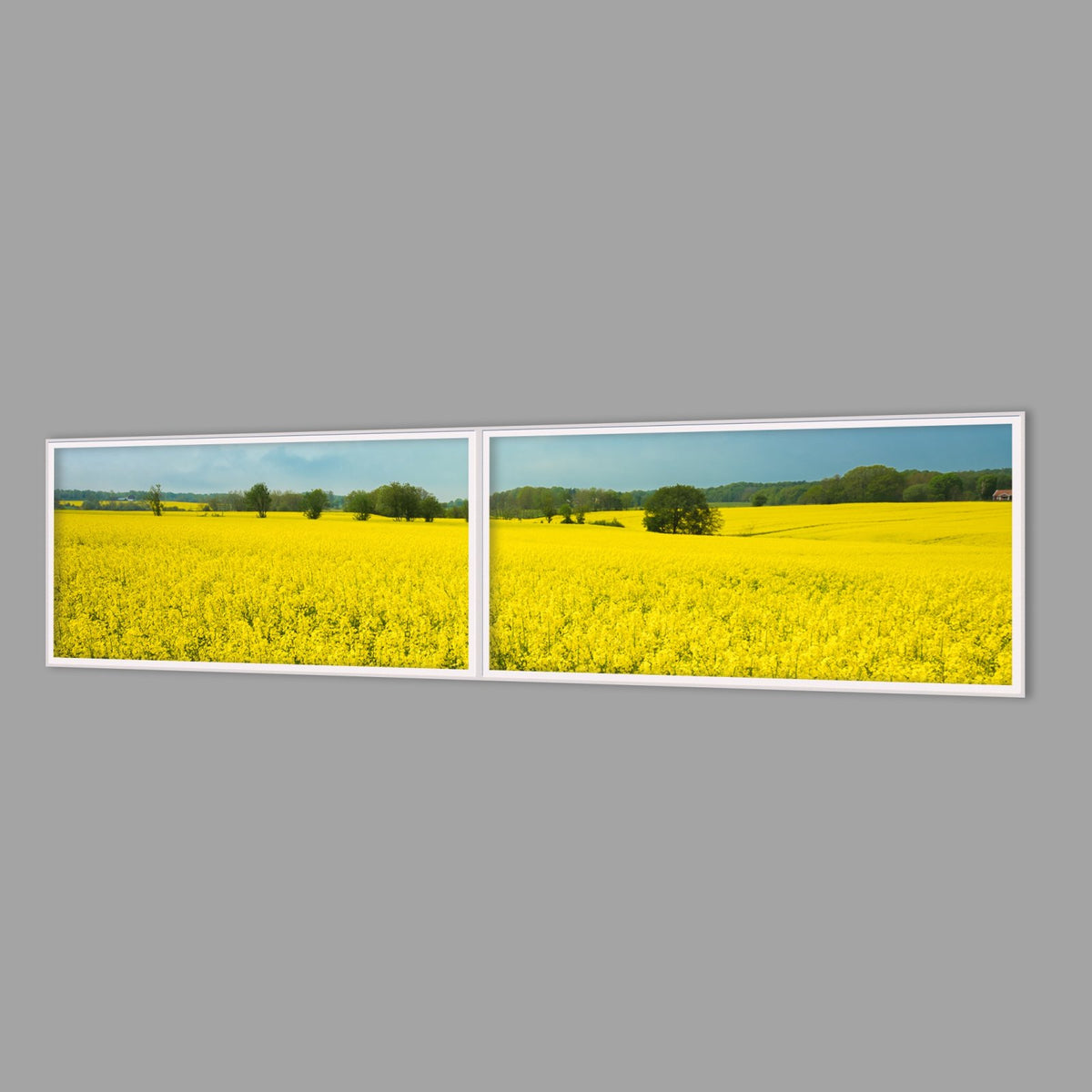 LED-Wandbild Zweiteiler quer 240x60 cm – Felder & Wiesen